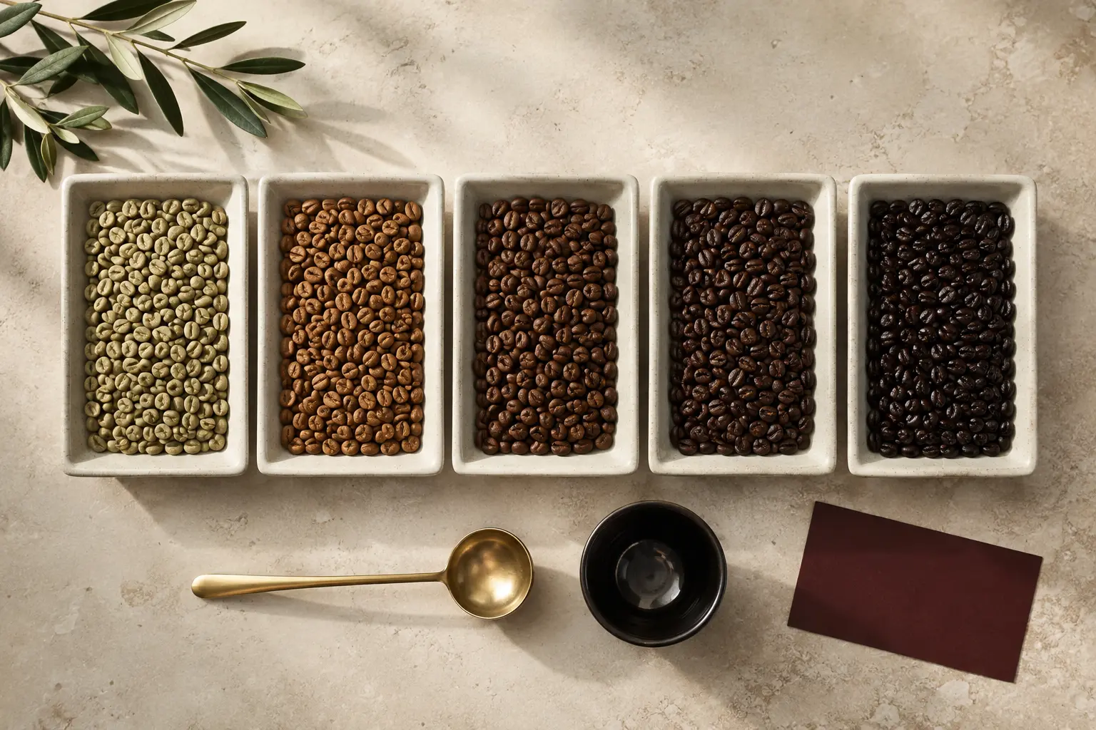 Kaf Coffee quality-control trays progressing from green beans to dark roast